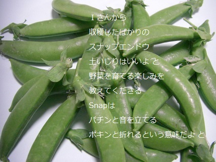 スナップエンドウ.jpg