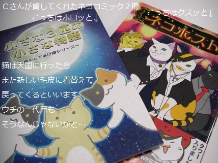 ネココミック.jpg