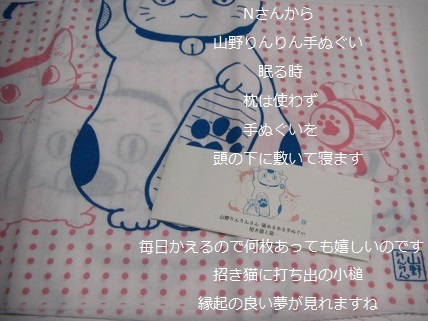 山野りんりん.jpg