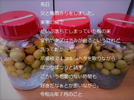 梅酒作り.jpg