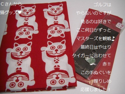 猫手ぬぐい.jpg