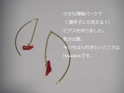 珊瑚ピアス.jpg