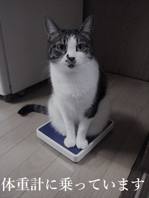 taijyuukei.jpg